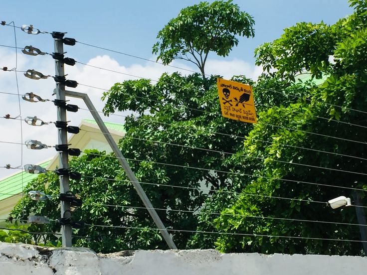 Electrical Services